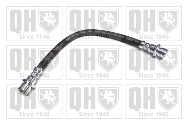 Brake Hose (BFH6119)