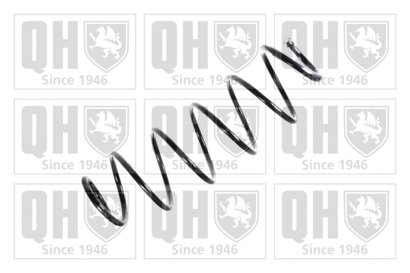 Suspension Spring (QCS6849)