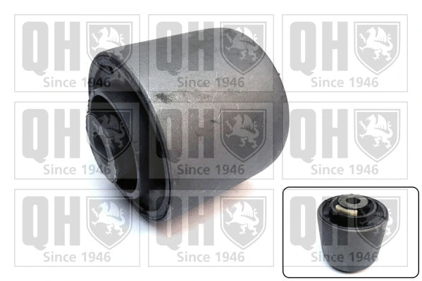Mounting, control/trailing arm (EMS8788)