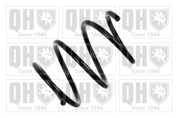 Suspension Spring (QCS7602)
