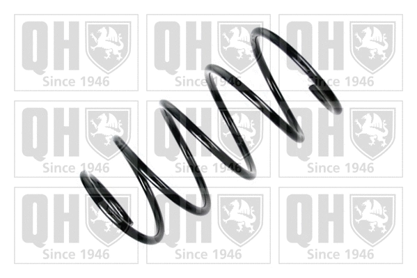 Suspension Spring (QCS6903)