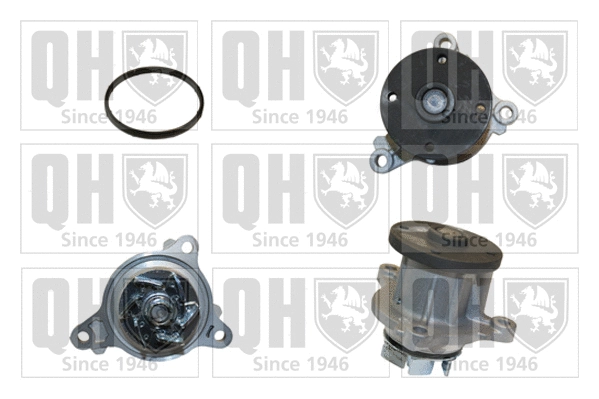 Water Pump, engine cooling (QCP3781)
