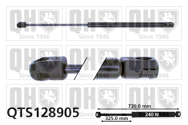 Gas Spring, bonnet (QTS128905)