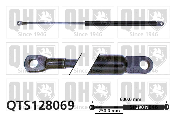 Gas Spring, boot/cargo area (QTS128069)