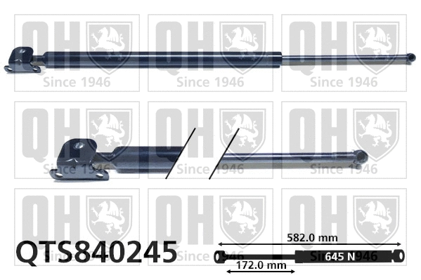 Gas Spring, boot/cargo area (QTS840245)