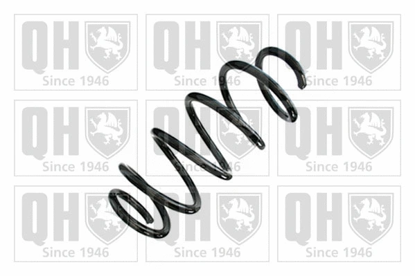 Suspension Spring (QCS8716)