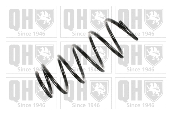 Suspension Spring (QCS5756)
