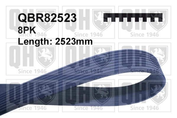 V-Ribbed Belt (QBR82523)