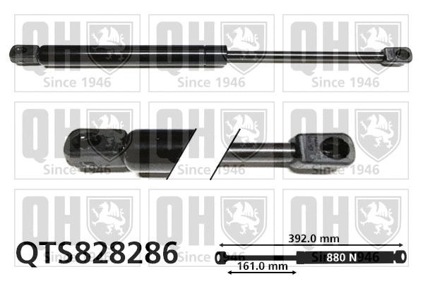 Gas Spring, boot/cargo area (QTS828286)
