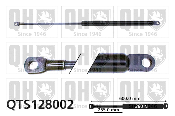 Gas Spring, boot/cargo area (QTS128002)