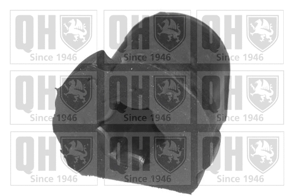 Mounting, control/trailing arm (EMS8055)