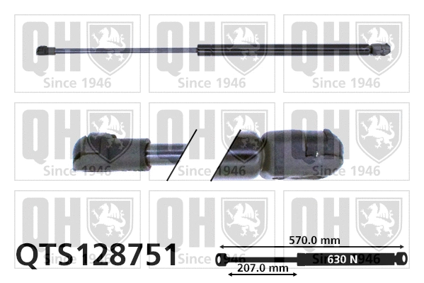 Gas Spring, boot/cargo area (QTS128751)