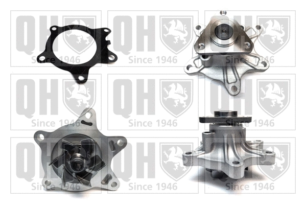 Water Pump, engine cooling (QCP3431)