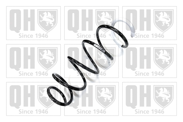 Suspension Spring (QCS7841)