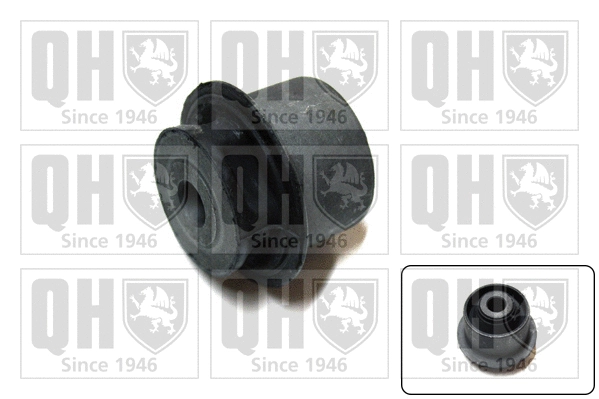 Mounting, control/trailing arm (EMS8564)