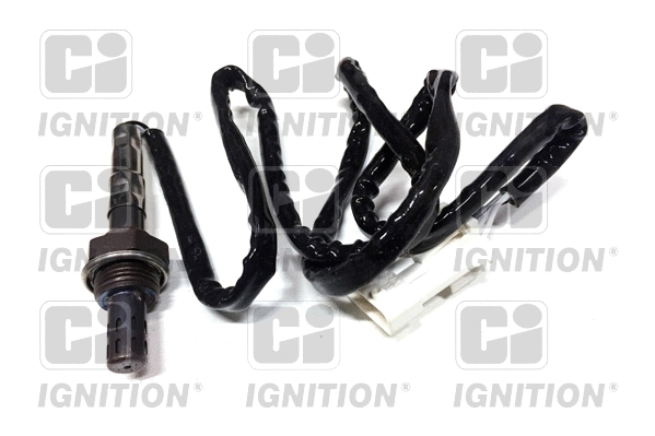 Lambda Sensor (XLOS1170)