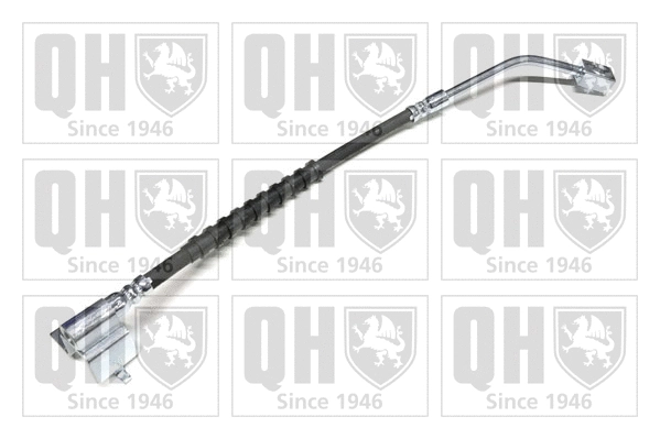 Brake Hose (BFH6101)
