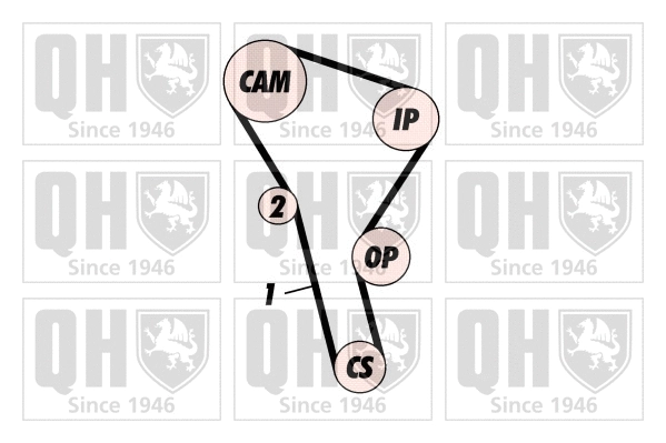 Timing Belt Kit (QBK134)