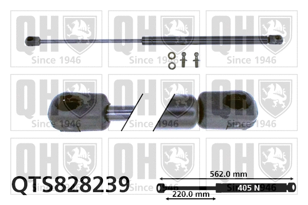 Gas Spring, boot/cargo area (QTS828239)