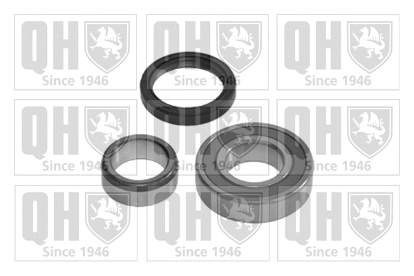 Wheel Bearing Kit (QWB376)