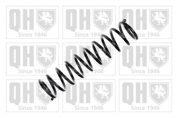 Suspension Spring (QCS7915)
