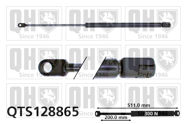 Gas Spring, boot/cargo area (QTS128865)