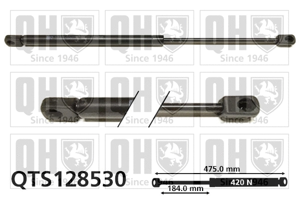 Gas Spring, boot/cargo area (QTS128530)