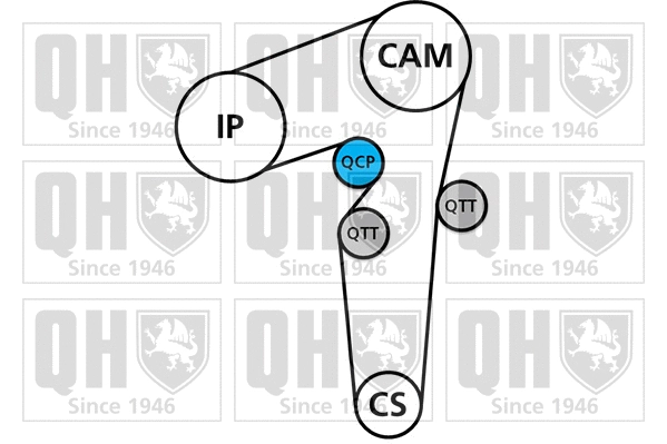 Timing Belt Kit (QBK272)