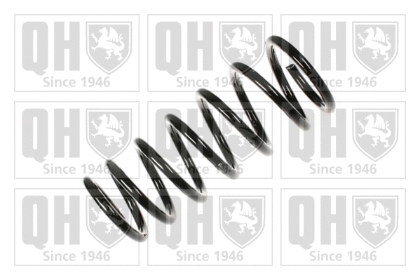 Suspension Spring (QCS6443)