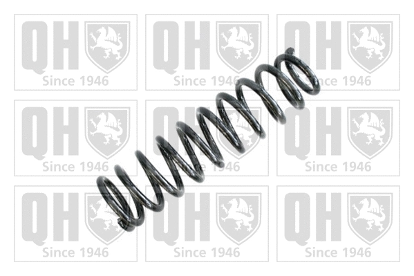 Suspension Spring (QCS7183)