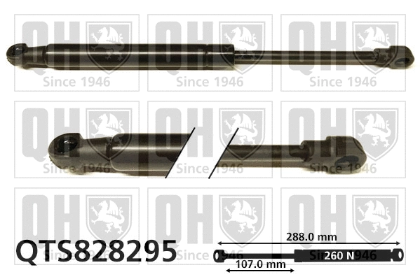 Gas Spring, boot/cargo area (QTS828295)