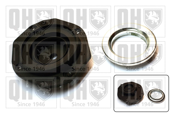 Repair Kit, suspension strut support mount (EMA6021)