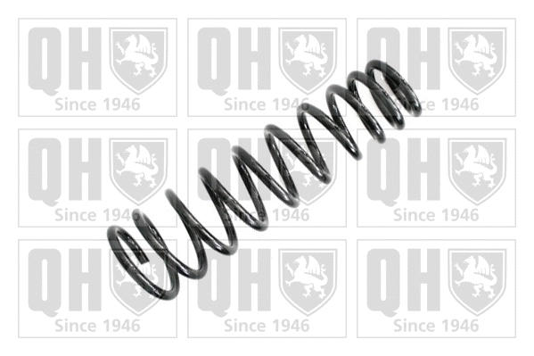 Suspension Spring (QCS5016)