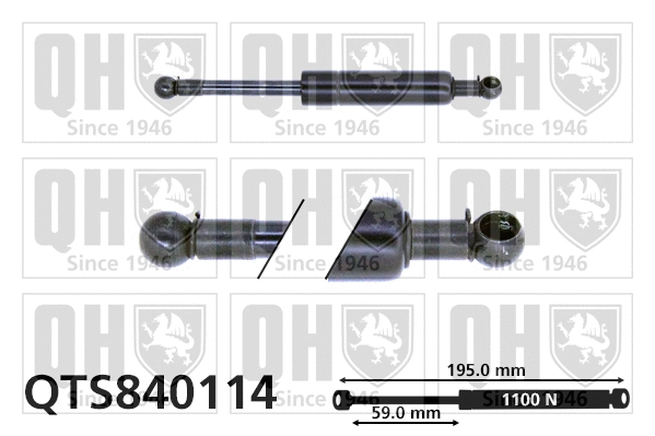 Gas Spring, bonnet (QTS840114)