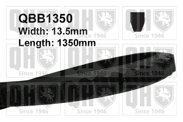 V-Belt (QBB1350)