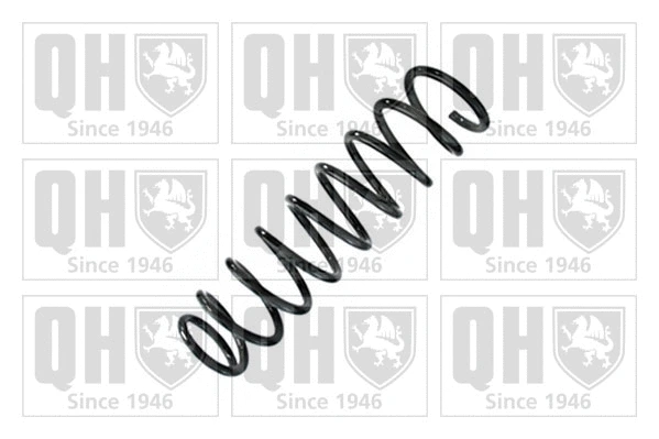 Suspension Spring (QCS8800)
