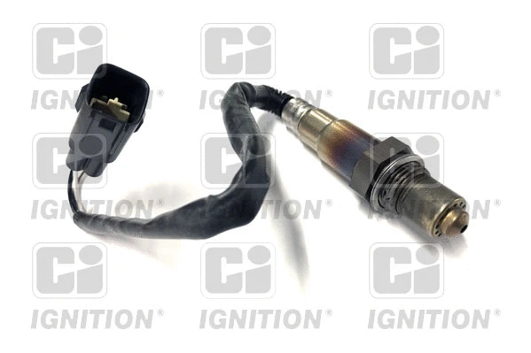 Lambda Sensor (XLOS1295)