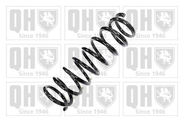 Suspension Spring (QCS6366)