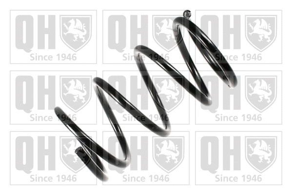 Suspension Spring (QCS6755)