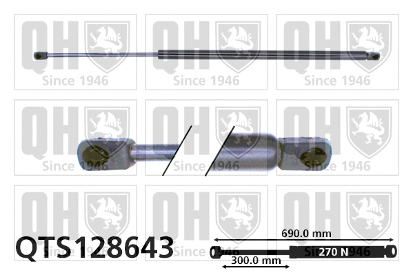 Gas Spring, boot/cargo area (QTS128643)
