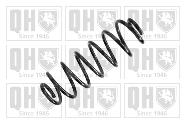Suspension Spring (QCS6920)