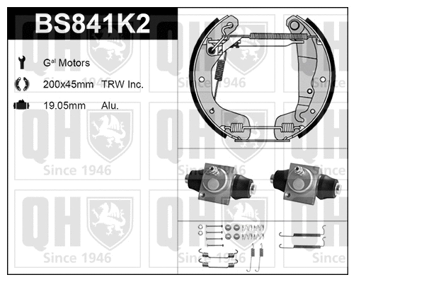 Brake Shoe Set (BS841K2)