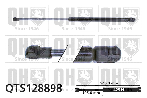 Gas Spring, boot/cargo area (QTS128898)