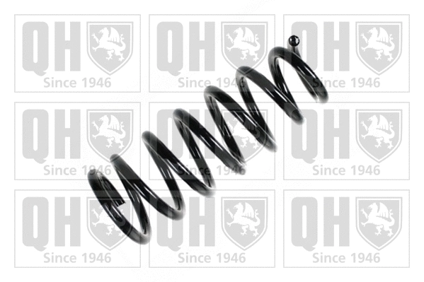 Suspension Spring (QCS7580)
