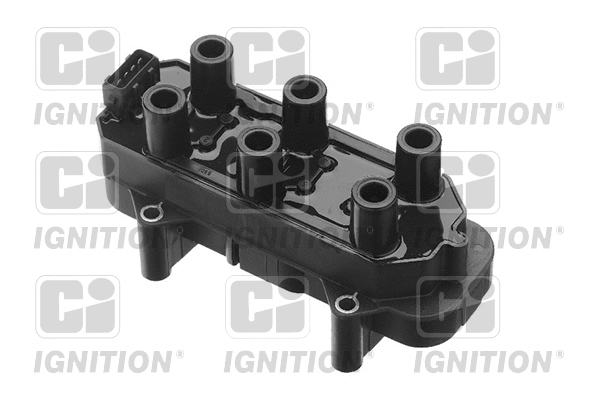 Ignition Coil (XIC8194)