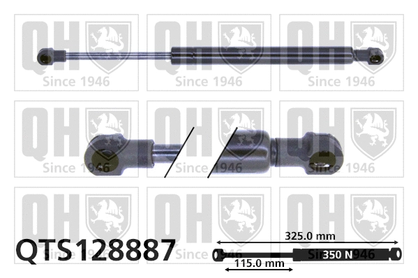 Gas Spring, boot/cargo area (QTS128887)
