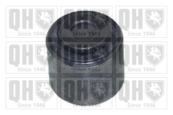 Mounting, control/trailing arm (EMS8526)