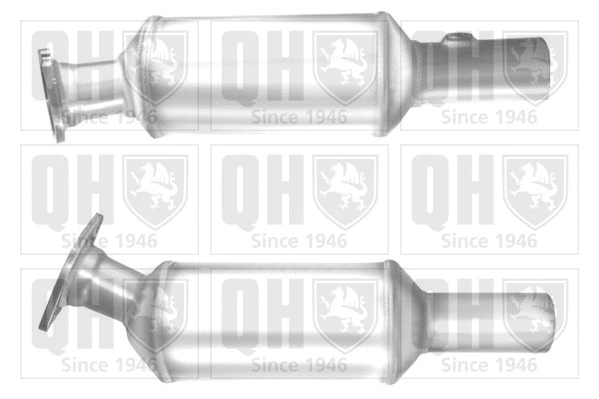 Soot/Particulate Filter, exhaust system (QDPF11366P)