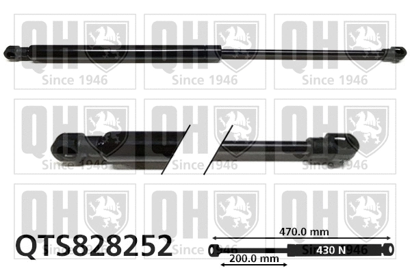 Gas Spring, boot/cargo area (QTS828252)