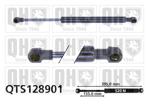 Gas Spring, bonnet (QTS128901)